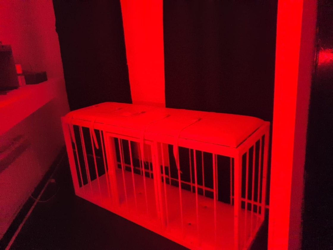Elizabeth Swan dominatrix cage